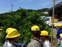 DSC00664