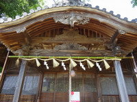 DSC00704