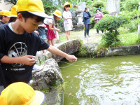 DSC00832