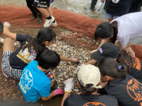 IMG_6872